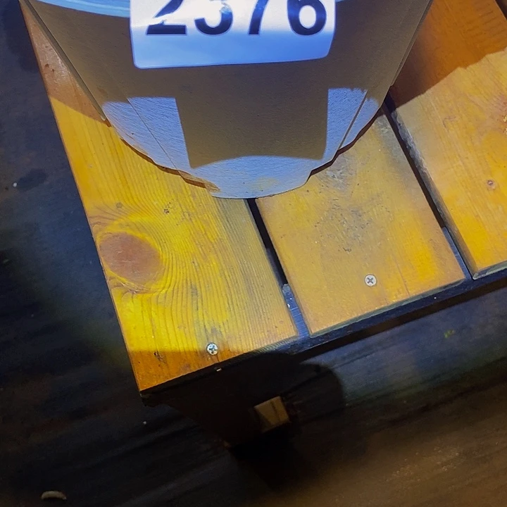 青***果2376多肉植物发货3颗