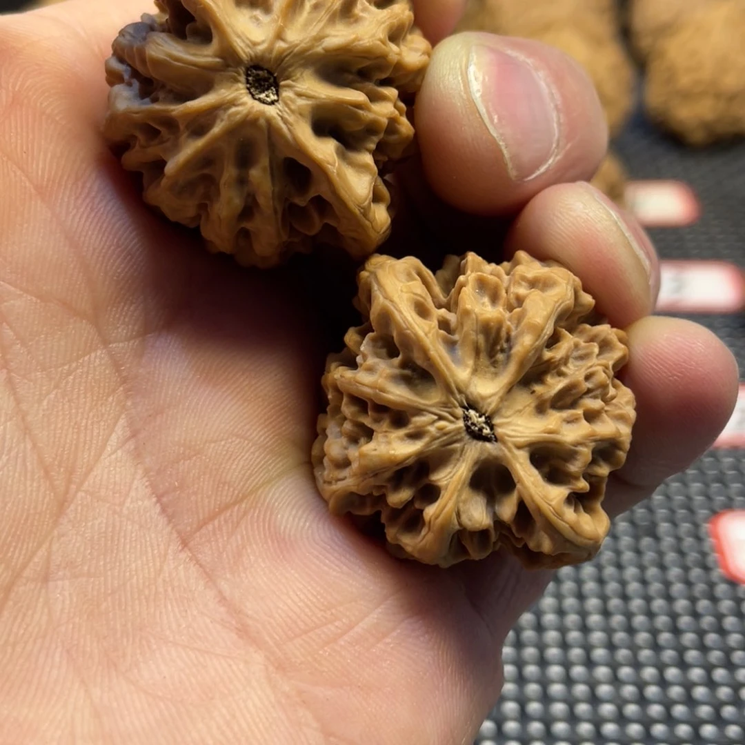 马*秦岭小王文玩核桃