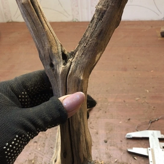 大果紫檀（缅甸花梨）-*