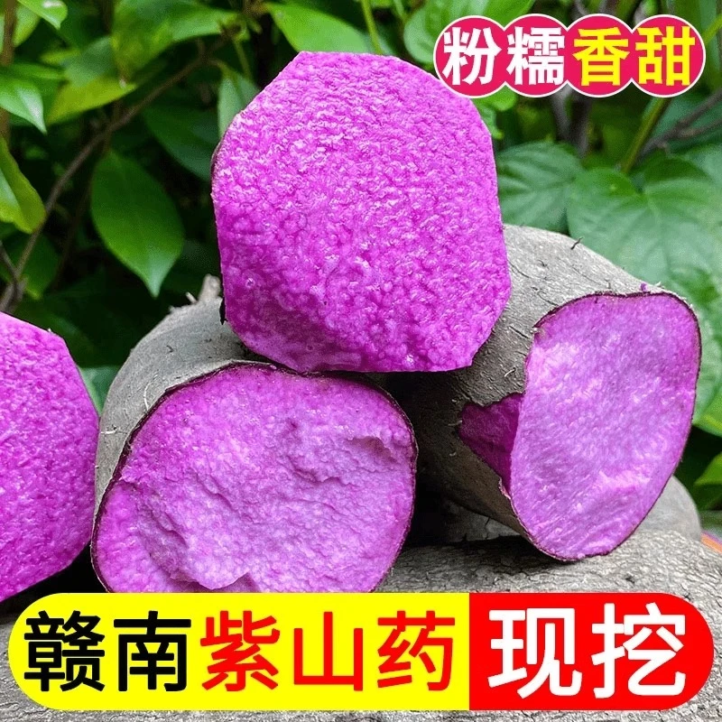 赣南紫山药紫人参脚板薯紫淮山铁棍山药农家自种现挖现发新鲜蔬菜
