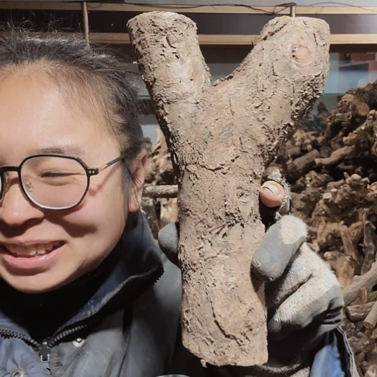 香榧木减****～火琉璃的毛料摆件