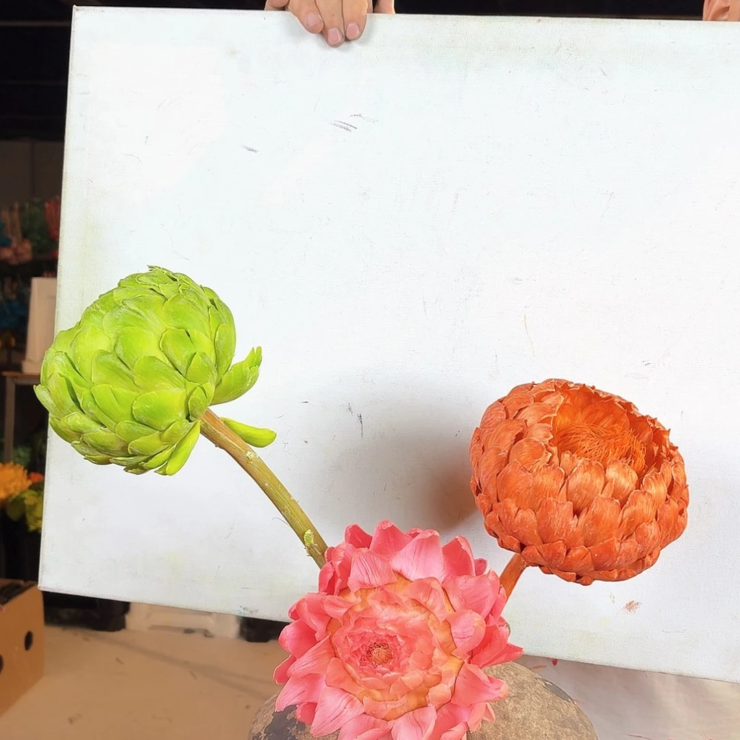 完全开放A54混色三枝