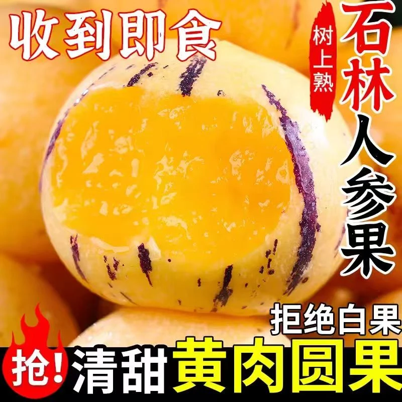 云南石林树上熟黄肉果新鲜清甜多汁当季水果整箱包邮