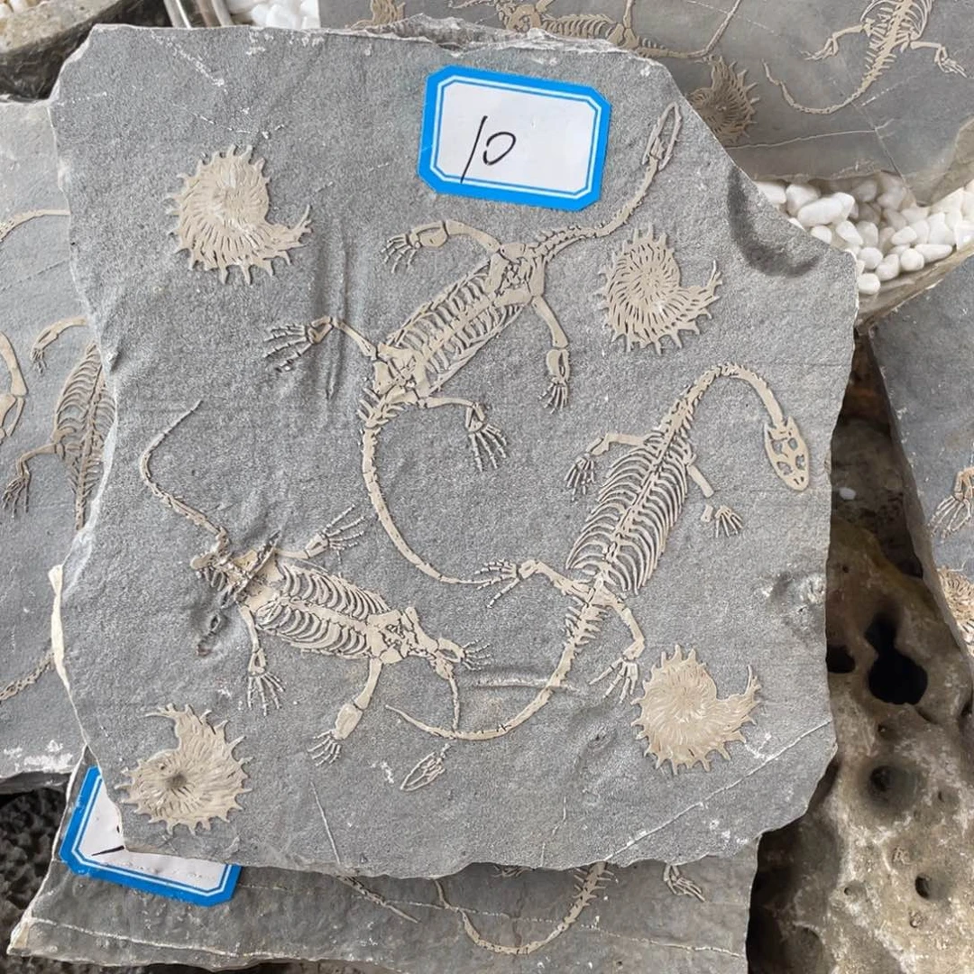 石材100000000000000