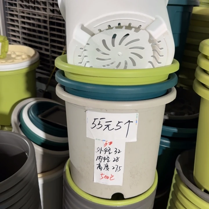 四季6#口径32高27无托纯白10个
