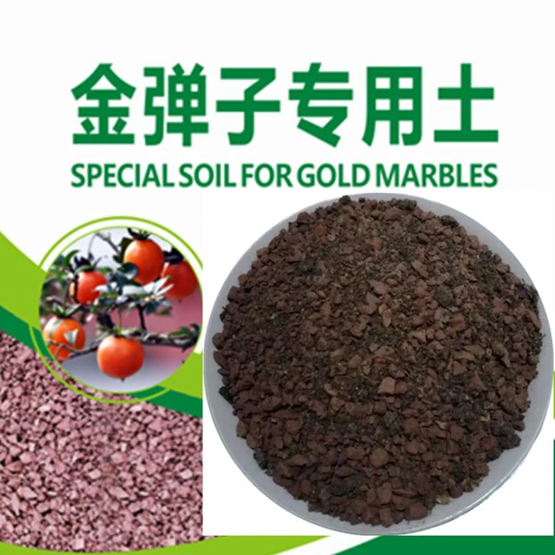 金弹子专用土老鸦柿营养土盆景专用土颗粒通用有机原装优质老桩