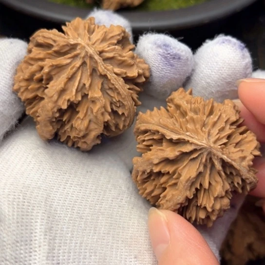 嘀***咚把件文玩核桃秦岭核桃15
