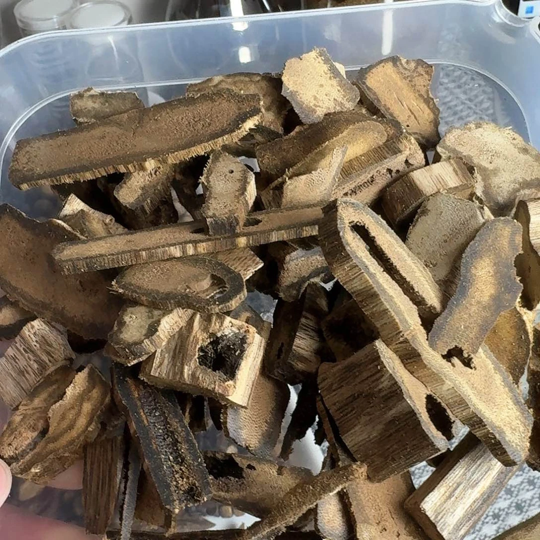 摆件沉香奇楠沉香绿奇边角料多样性发了