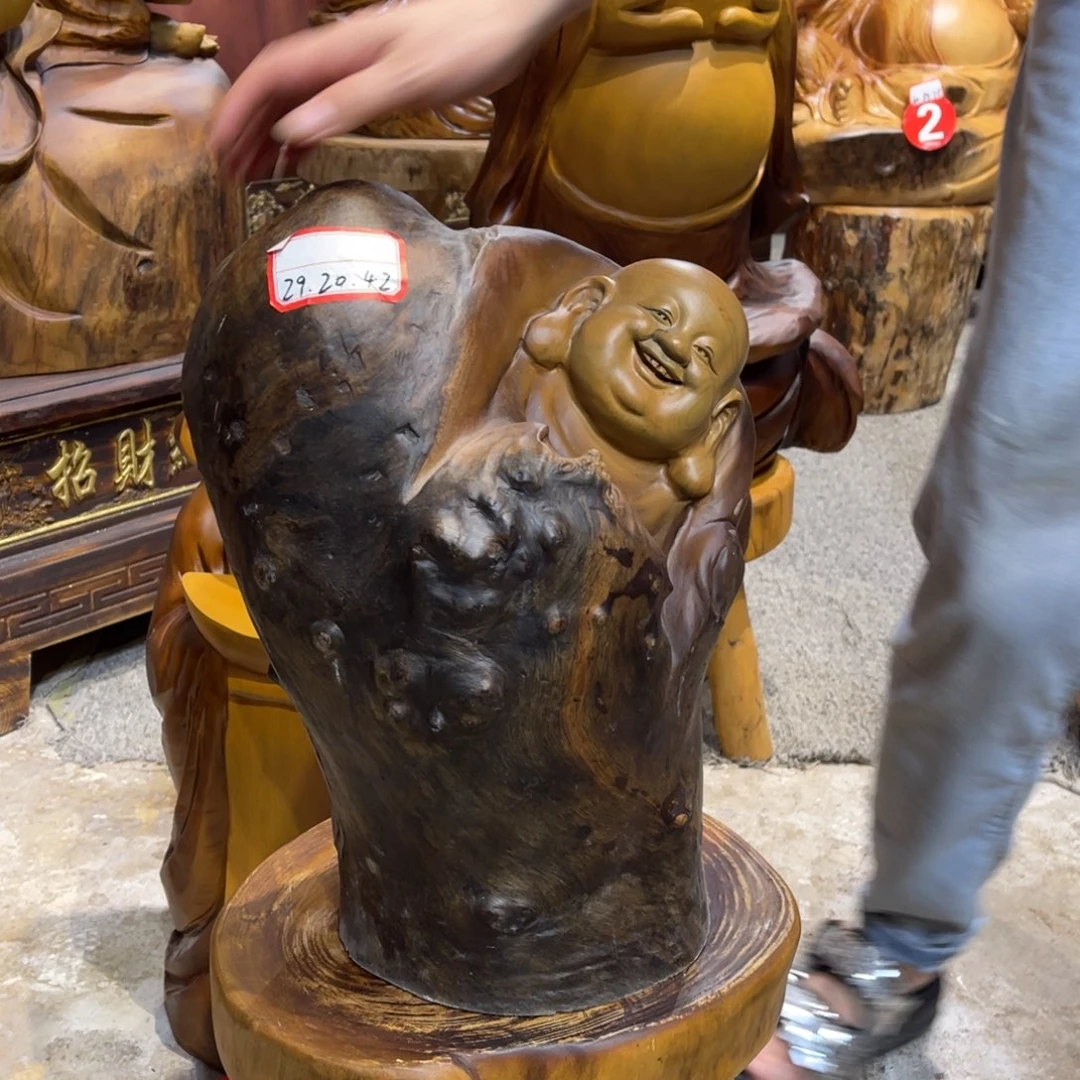 香榧木香樟树香樟树