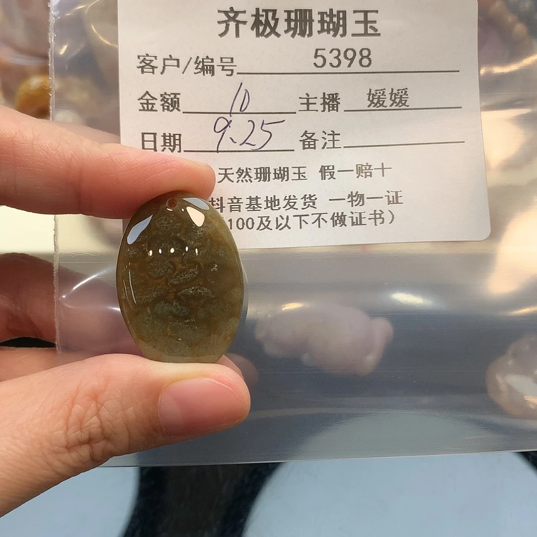 颈饰未镶嵌硅化珊瑚（珊瑚玉）一***萍
