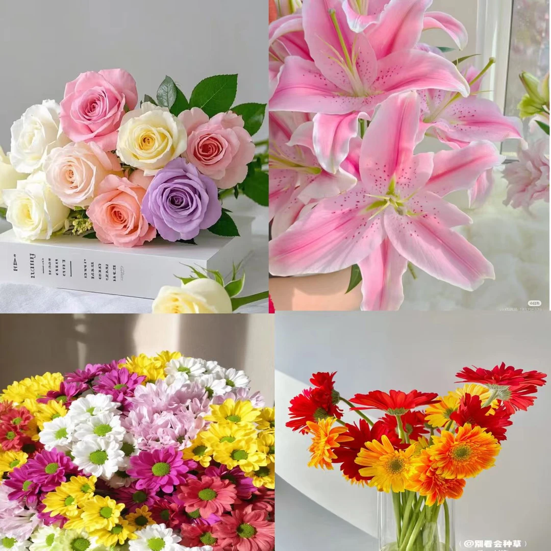 （宠粉福利）组合东北鲜花基地发货顺丰包邮浪漫养护简单花束优质
