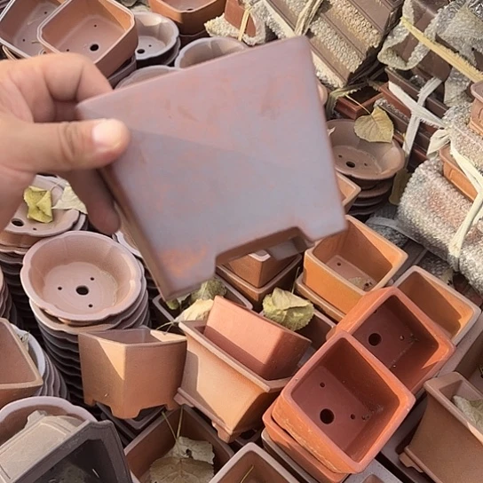 这一期太有意思咯太开心打酱油吧太棒