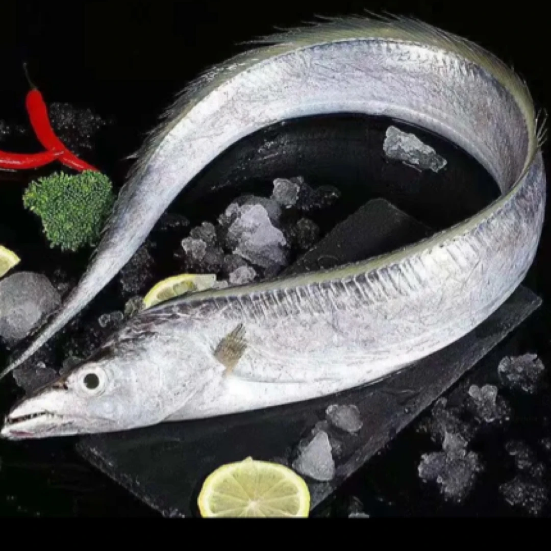 园园海鲜连云港发新鲜深海整条带鱼小眼油带鱼三两-四两/条*12 条