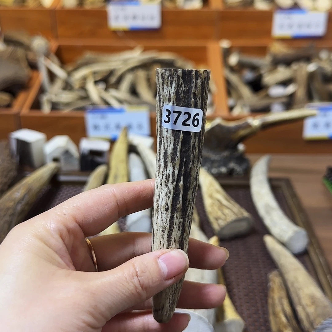 鹿骨手串/手链3726鹿角尖