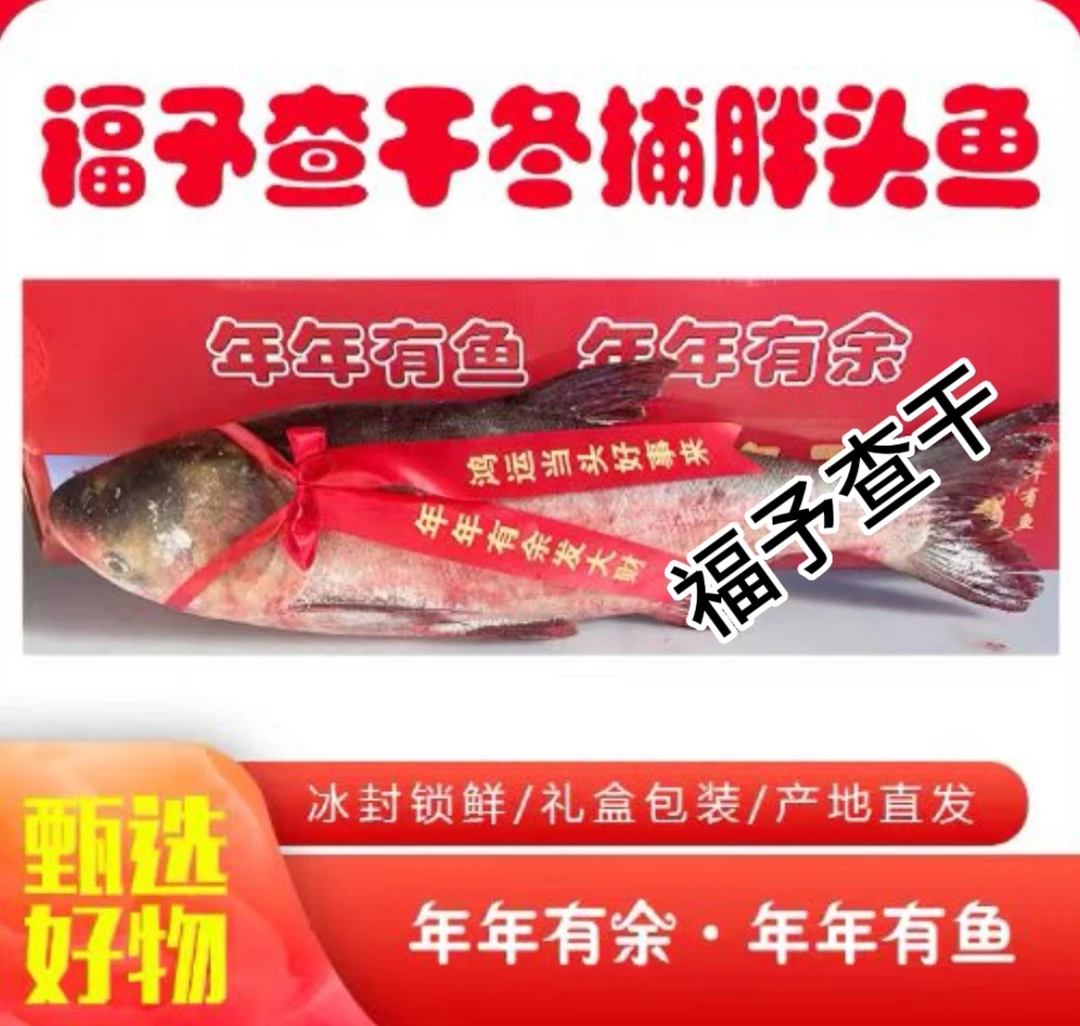 冬捕胖头鱼6斤-50斤年货节礼盒礼品海鲜礼包
