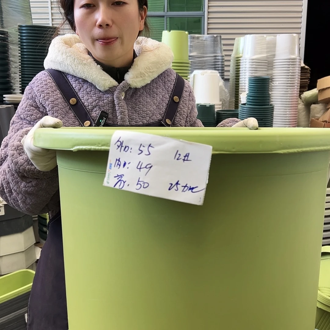 瑕疵四季盆12#果绿2个无托
