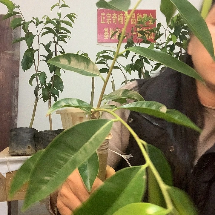 完全开放225222222222