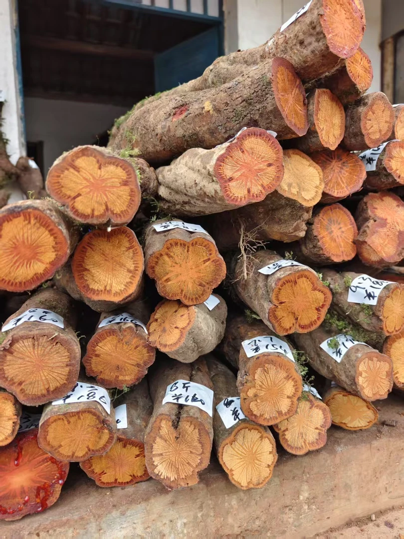 云南山货  野生五花雪藤