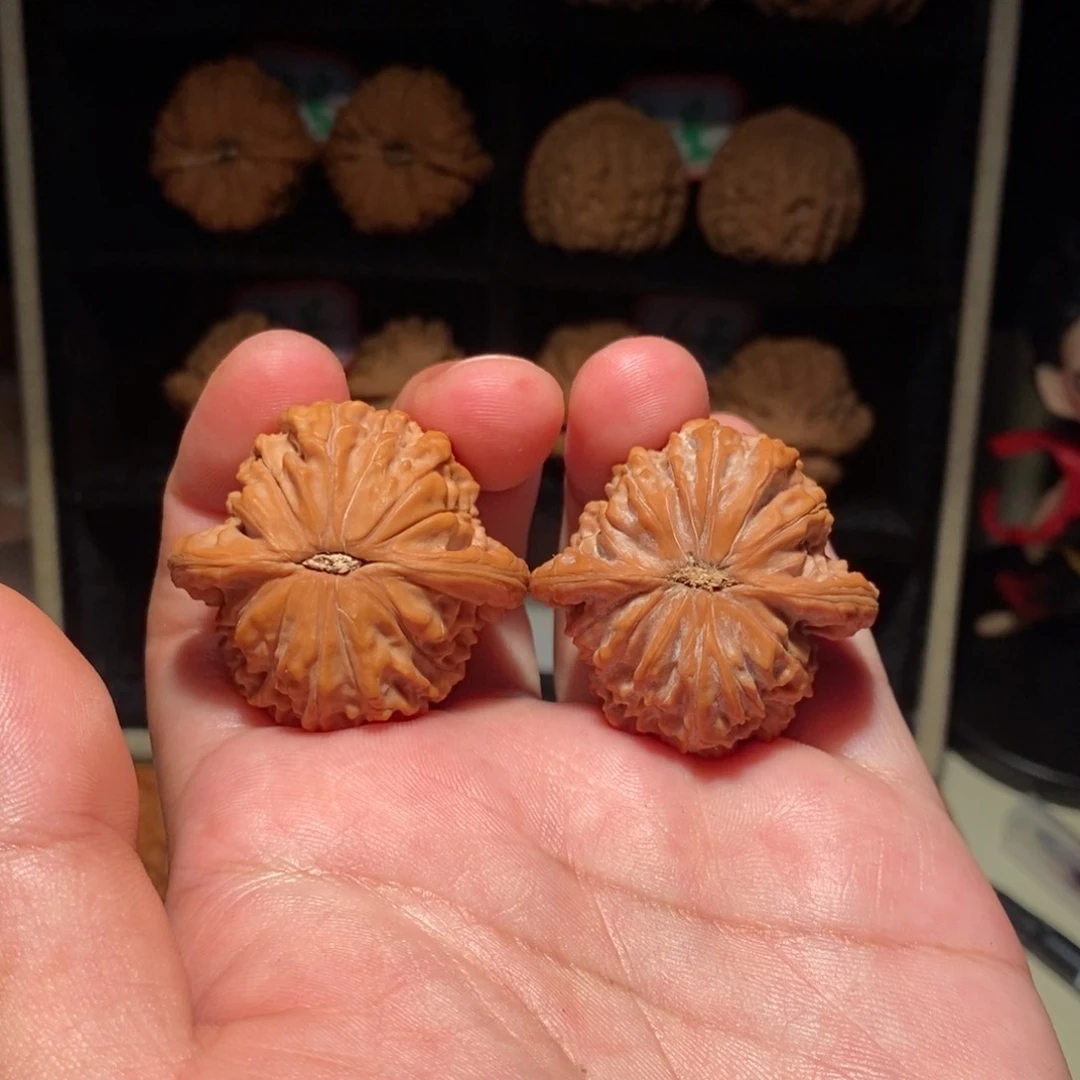 狮***Y文玩核桃把件39磨盘精品