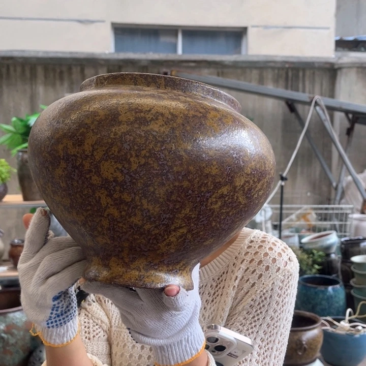 高19 口16。