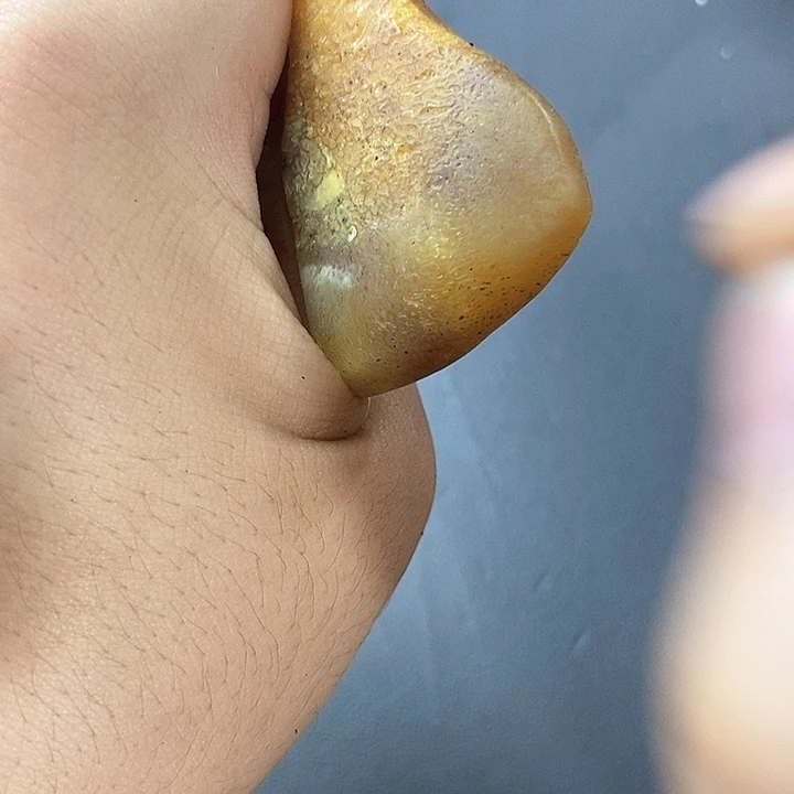 大果紫檀（缅甸花梨）312