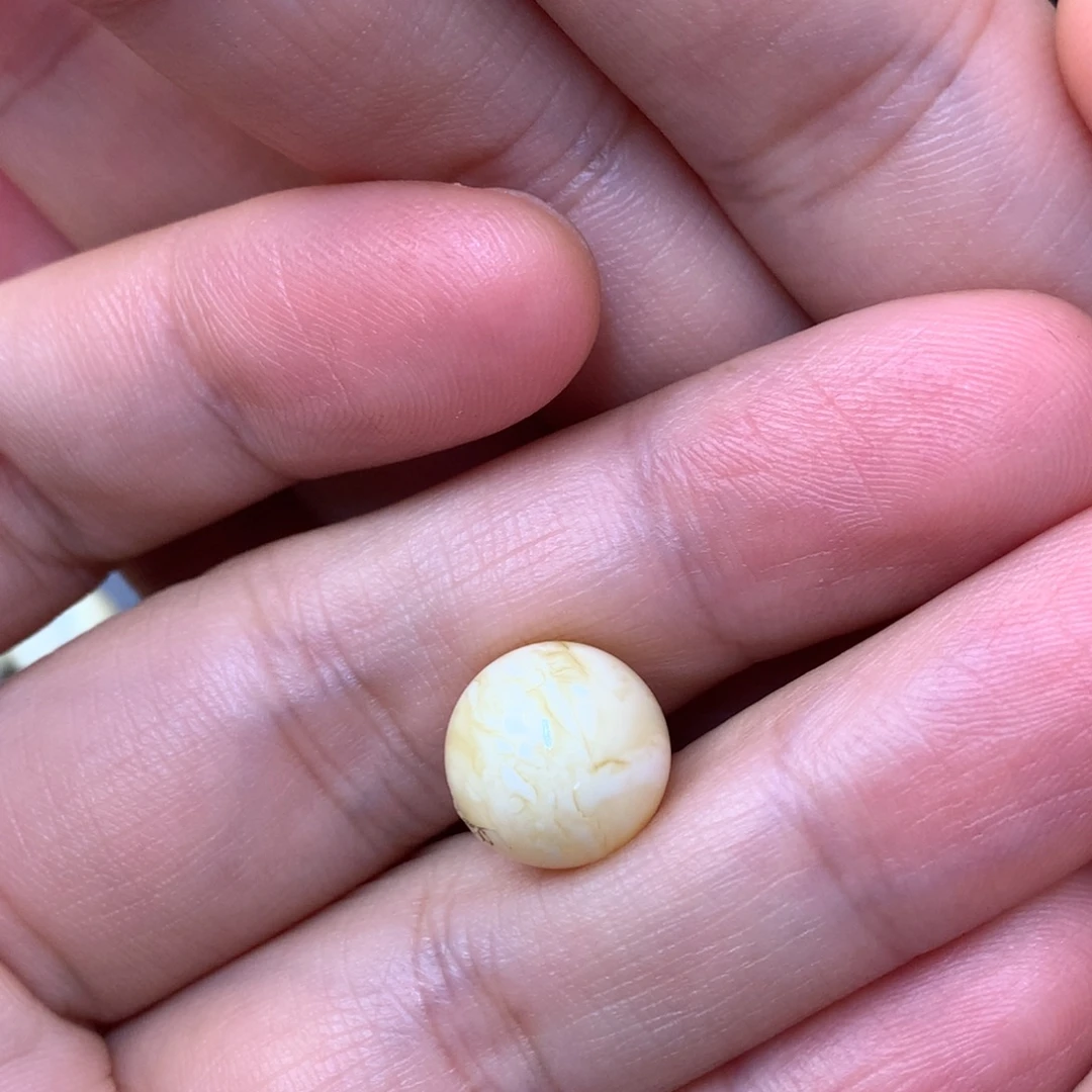 裸石琥珀未镶嵌蜜蜡