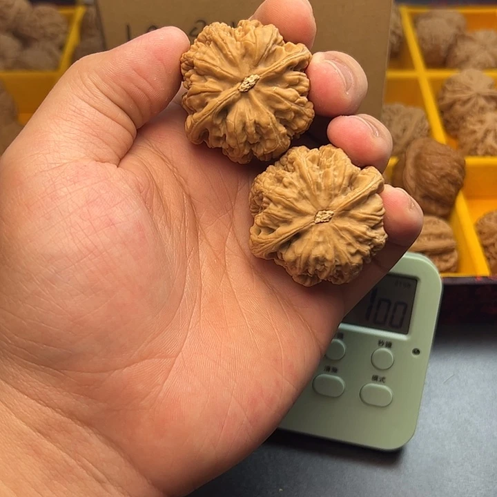 文玩核桃文玩核桃