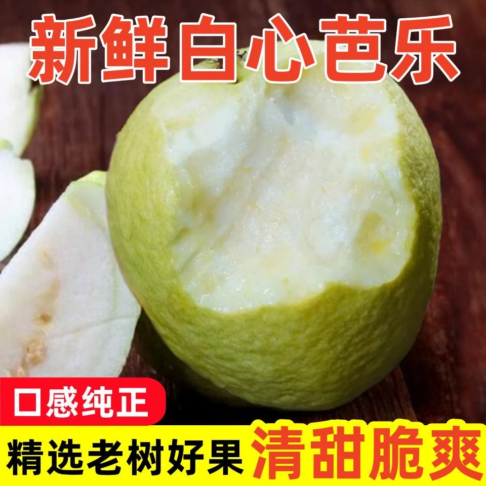 【新鲜】广东茂名当季白心珍珠番石榴清脆清甜水果当天采摘当天发
