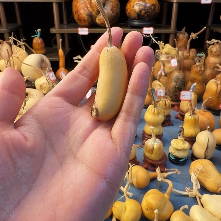 普***r你好意思说什么呢