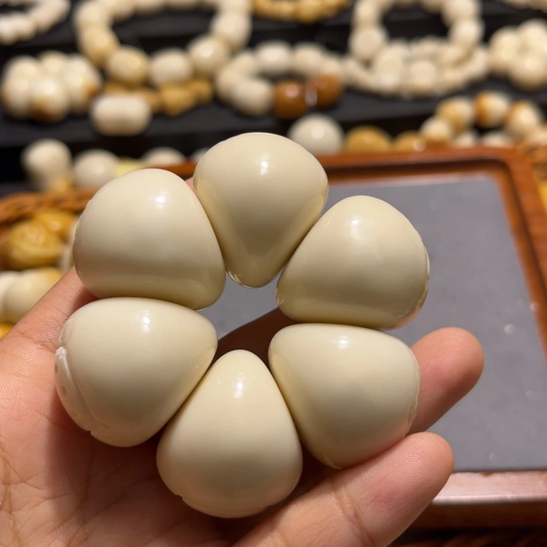 吊坠菩提根/象牙果