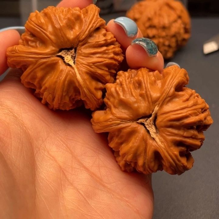 你***说文玩核桃吊坠白狮子