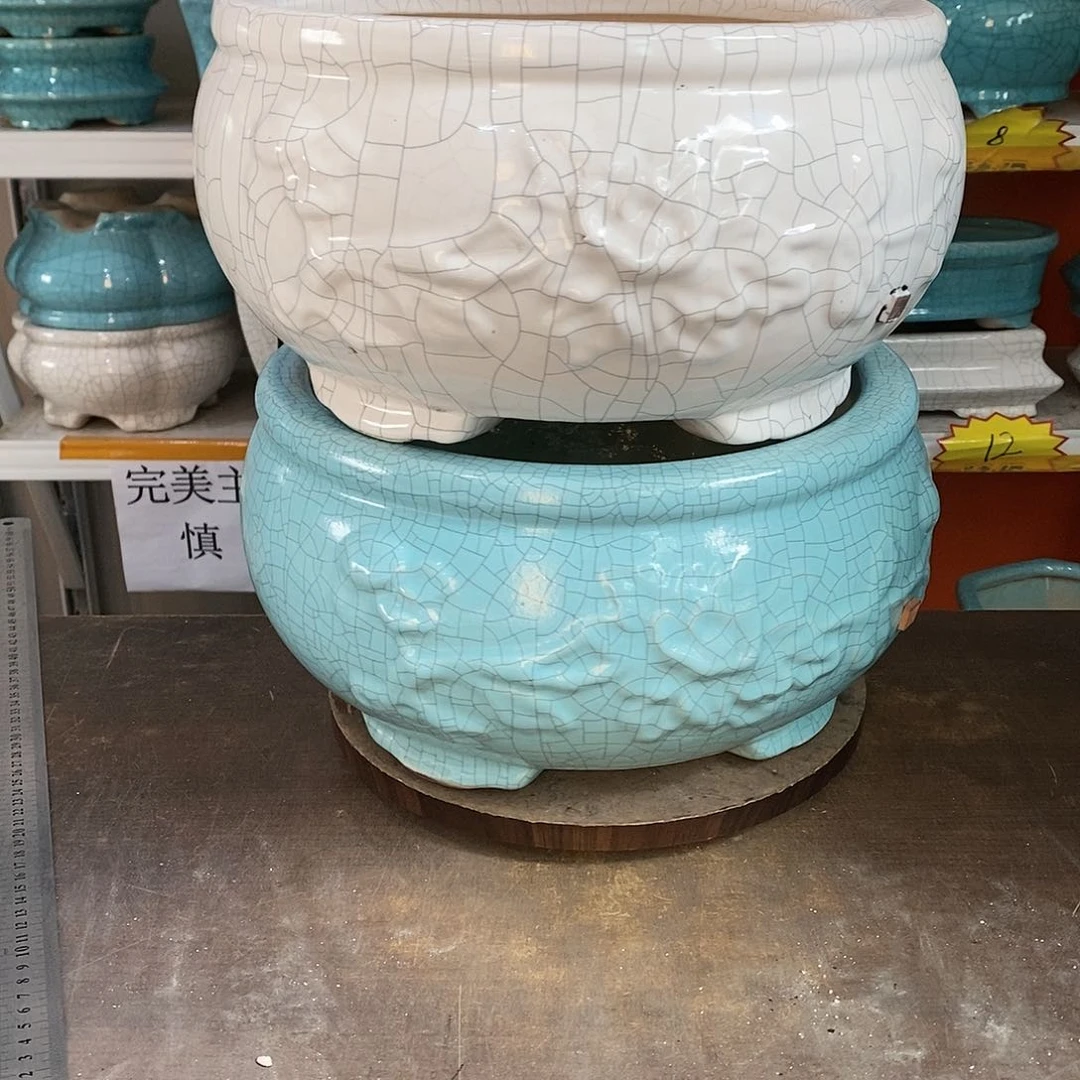 J****)花盆花盆里的花都