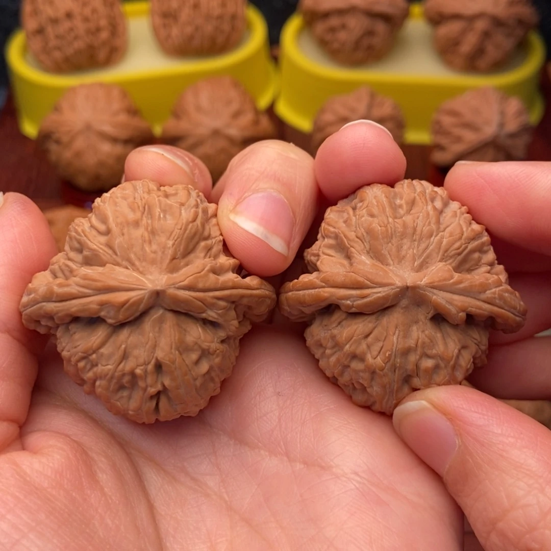 把件文玩核桃40全品老树红皮粗筋白狮子
