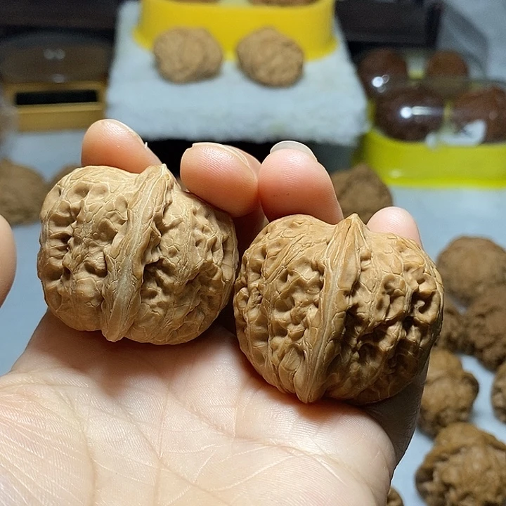 文玩核桃把件元宝40尺