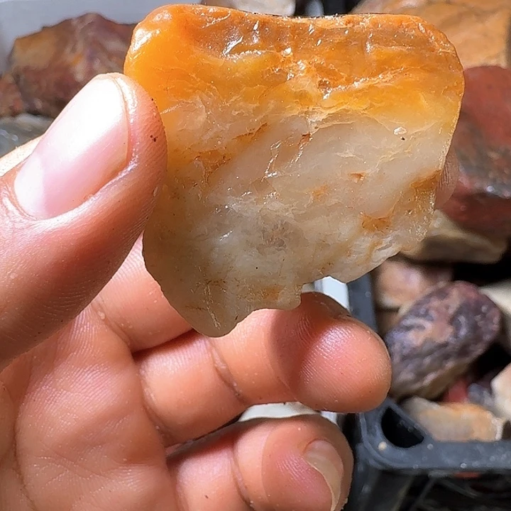 尼***哥寿山石老挝石素质