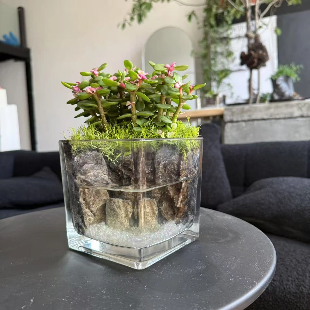 揽山「金玉满堂」桌面微景观成品成景伴手礼12*12