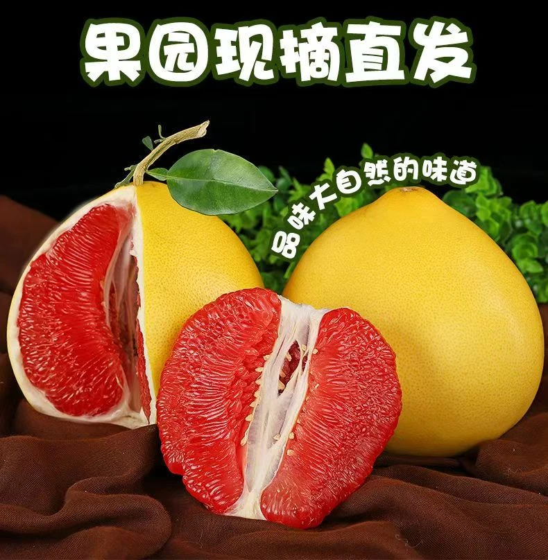 【精品礼盒装】正宗福建平和三红心蜜柚当天新鲜采摘发货孕妇水果