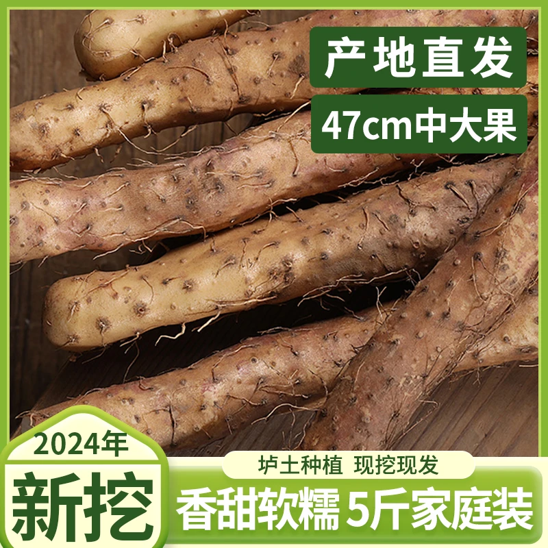 正宗河南焦作温县垆土铁棍铁杆淮山怀山药新鲜5斤特产整箱