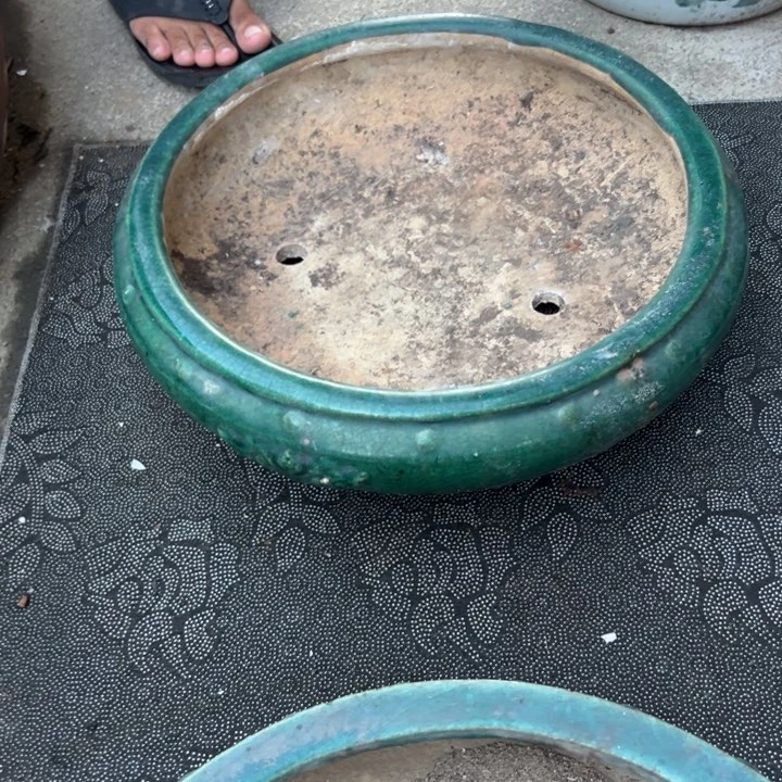 施*你的生活我的快乐，