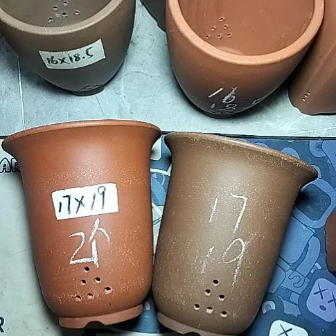 红泥紫泥小金钟两个花盆
