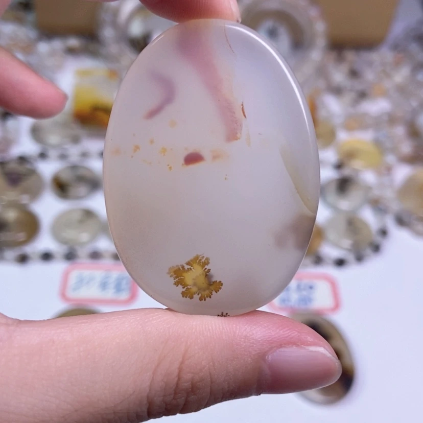 【闪购商品】玛瑙/玉髓颈饰合金