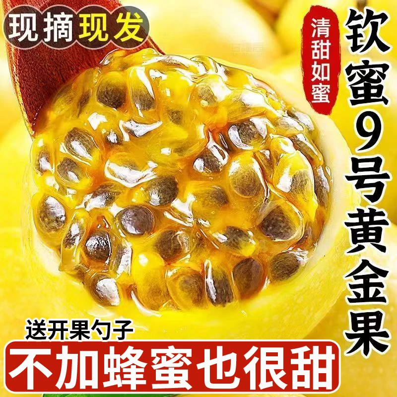 【钦蜜9号】黄金百香果爆甜多汁当季新鲜水果孕妇水果现采现发包邮9