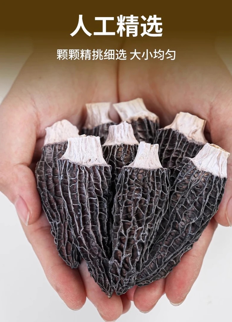 【专属】头茬羊肚菌4-7新货煲汤炖汤营养食材 菌菇土特产（现拍现称）