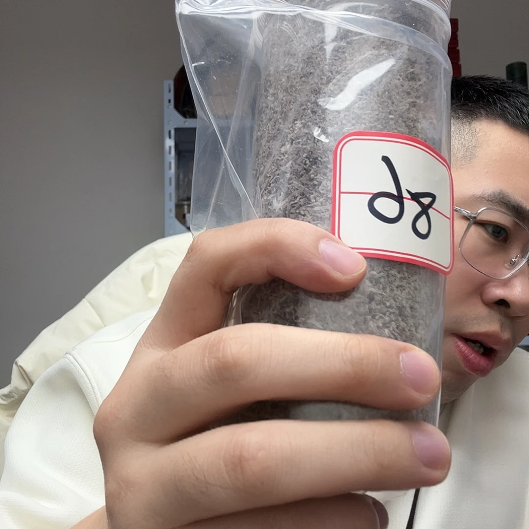 橄榄核手串/手链工艺品86