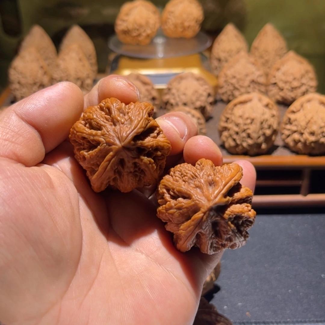 把件文玩核桃大粗筋