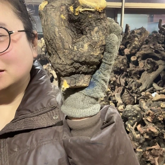 香榧木冠***0火琉璃的故事毛料摆件