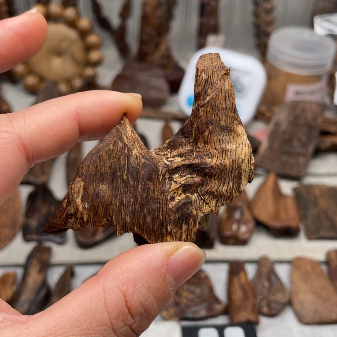 沉香沉香碎屑苏拉威西扭结瘤疤7.9+