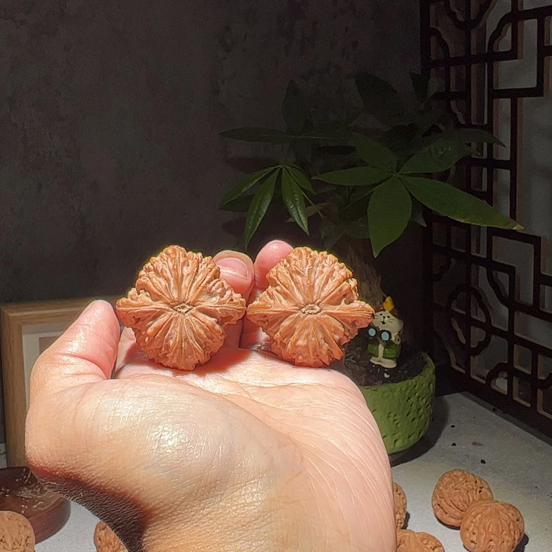 劳***海核桃40房山一代山地磨全品