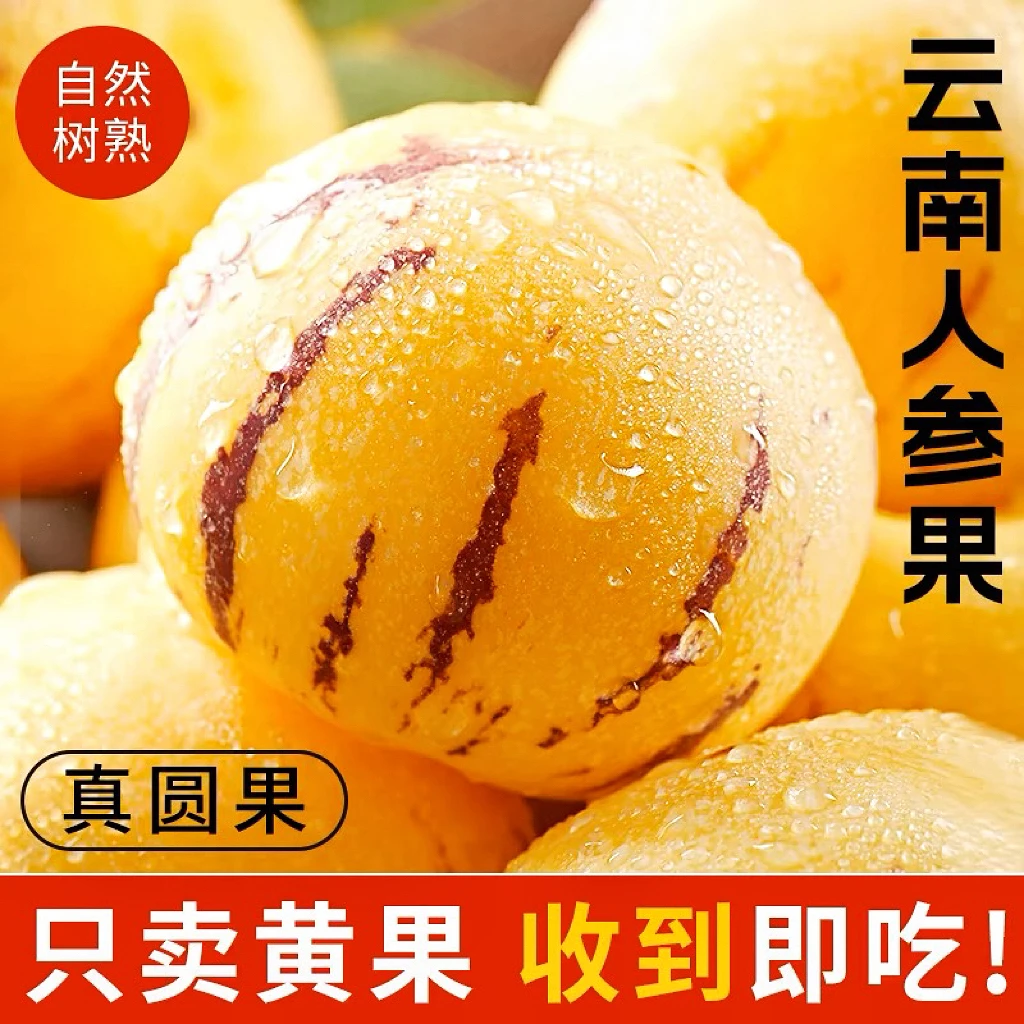 V云南石林树上熟黄肉圆果果新鲜多汁清甜应季水果