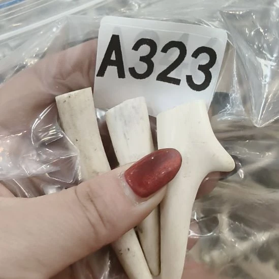 熊****鹿角鹿角鹿角鹿角鹿角鹿角